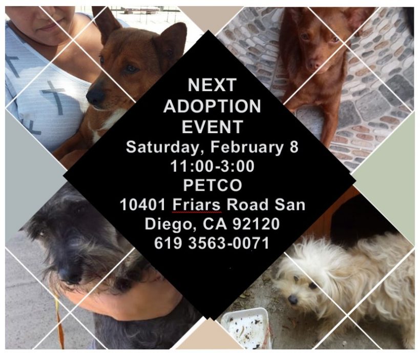 UPCOMING ADOPTION EVENT