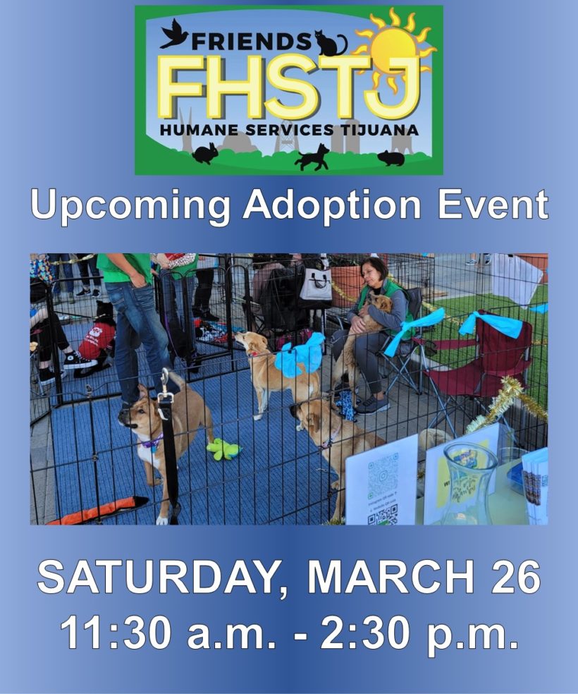 Adoption Event