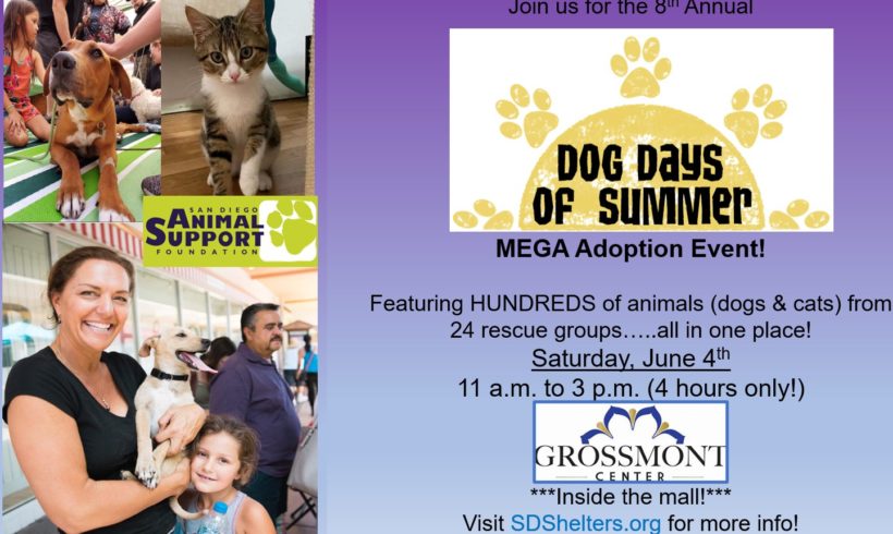MEGA Adoption Event