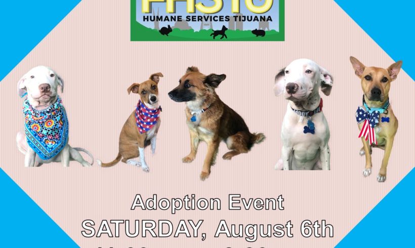 Adoption Event