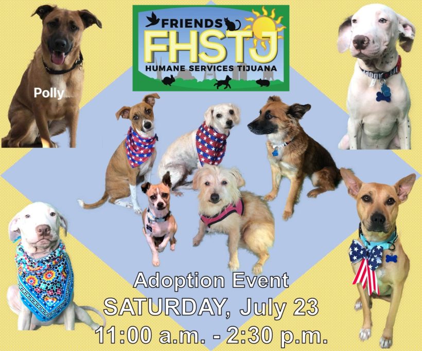 Adoption Event