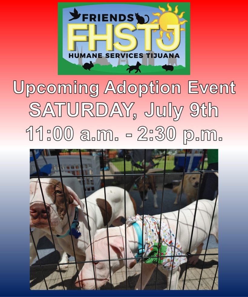 Adoption Event