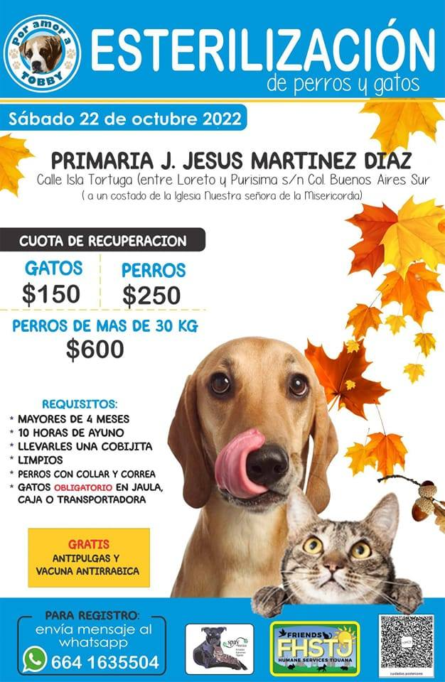 Spay and Neuter Event