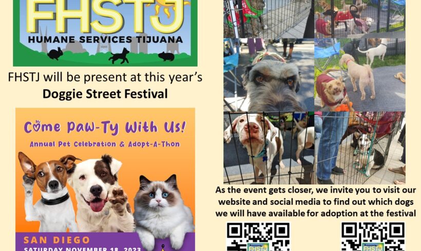 Doggie Street Festival