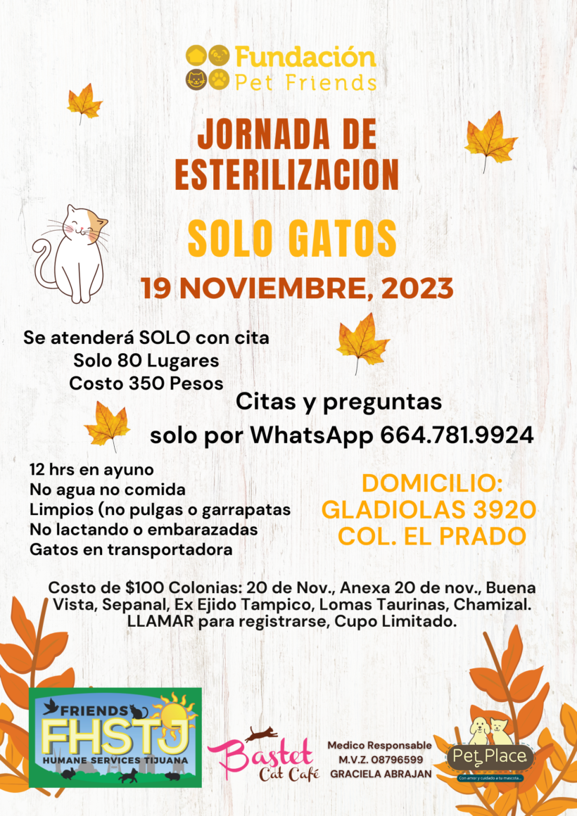 Spay and Neuter Event – November 19th